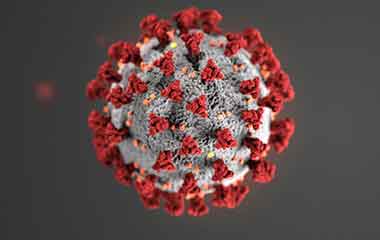 Coronavirus